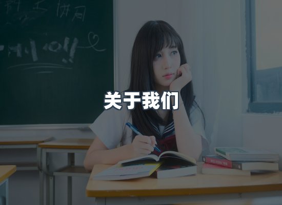 关于我们